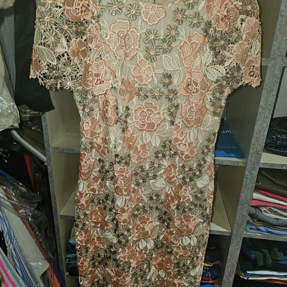 Floral Lace Dress in Pink and Cream